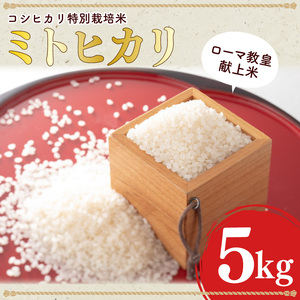 【数量限定】ローマ教皇献上米 令和7年産ミトヒカリ（コシヒカリ特別栽培米）※離島への発送不可※着日指定送不可 【新米 お米 ごはん こしひかり 5キロ 白米 茨城県産 水戸市】（AN-2）