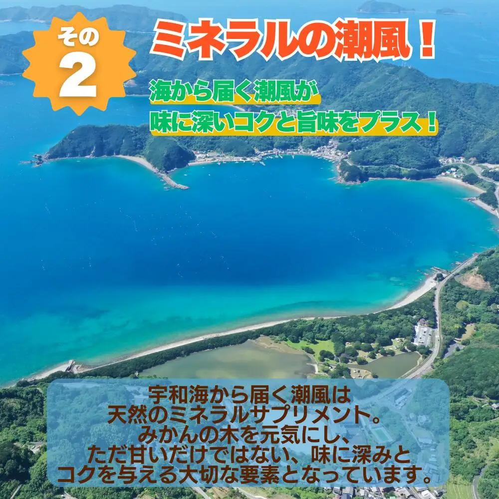 【先行予約】 訳あり 愛媛 みかん 5kg  みかん 愛なんよ