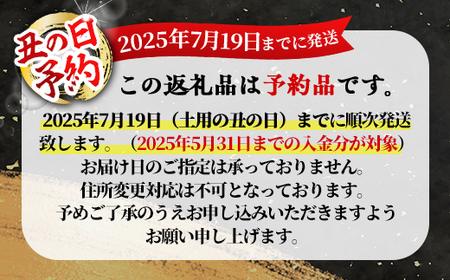 【土用の丑の日予約】鹿児島県大隅産うなぎ蒲焼４尾（600g）【2025年7月19日までに順次発送】