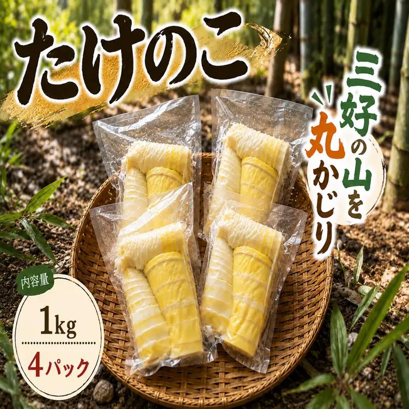 たけのこ 約 1kg 水煮 250g ~ 300g × 4パック 【 たけのこ 】