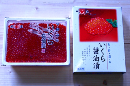 【北海道根室産】いくら醤油漬け500g B-52001