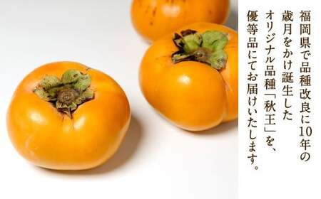 福岡県産 博多秋王【優等品】 計約10.5kg以上【約3.5kg以上（8玉～12玉入り） ×3箱】【2026年10月下旬～12月上旬発送予定】柿 かき 果物 フルーツ くだもの 先行予約