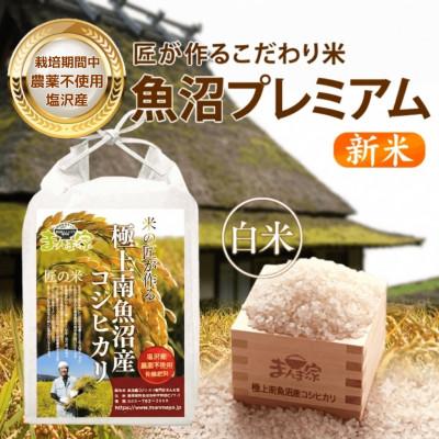 ふるさと納税 南魚沼市 【8年産新米予約】特別栽培米「南魚沼産コシヒカリ」(栽培期間中農薬・化学肥料不使用)白米5kg