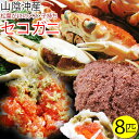 【ふるさと納税】1686 セコガニ 訳あり（茹で）8枚セット 鳥取県産（フォーシーズン）　鳥取 蟹 かに 親ガニ 期間限定 送料無料