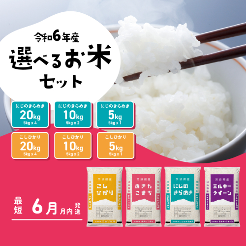 選べるお米 すぐ届く 6月 7月 5kg 10kg 20kg 令和6年産 こしひかり にじのきらめき 食べ比べ 白米 精米 茨城県 八千代町 すぐ発送 すぐに発送