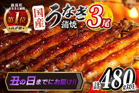 ＜丑の日＞国産うなぎ蒲焼 3尾 計480g以上【C444-USHI】