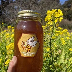 勝浦産 非加熱の生ハチミツ 1kg 1瓶【夏の百花蜜】夏の百花蜜《90日以内に出荷予定(土日祝除く)》| ハチミツ ハチミツ ハチミツ ハチミツ
