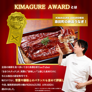 【ふるさと納税】九州産手焼きうなぎ蒲焼き 3尾(約600g) 訳あり [a1000] ※配送不可：北海道・沖縄・離島【返礼品】添田町 ふるさと納税