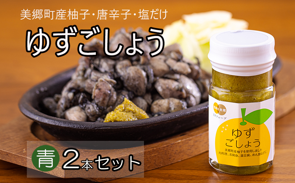 調味料 青ゆずごしょう 60g×2本 セット [春夏秋冬いっつもや 宮崎県 美郷町 31ab0104] 青唐辛子 柚子 ゆず 塩 唐辛子 柚子胡椒 ギフト 調味料 宮崎県産　 産 国産 送料無料 薬味 地鶏 刺身 焼き鳥 うどん そば そうめん 水炊き 鍋料理 肉料理 魚料理 手作り 手づくり 料理 調理 おかず