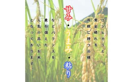 【柳川のお米】 令和6年産 ヒノヒカリ 10kg と 麦茶 16P セット 白米 お茶 パック