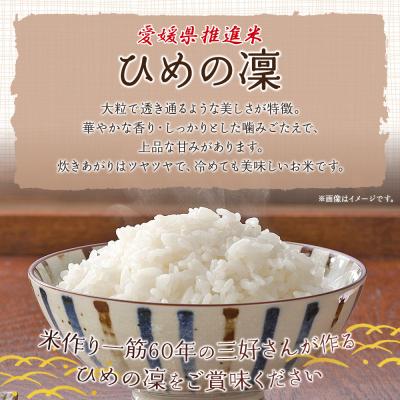 ふるさと納税 西予市 新米<令和7年産 愛媛県推進米 ひめの凜 約5kg> お米 |  | 03