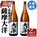 【ふるさと納税】【お急ぎ便】【鹿児島限定販売】 大海酒造 芋焼酎「薩摩大洋」1800ml×2本！ さつま芋 さつまいも いも焼酎 お急ぎ便 本格焼酎 芋焼酎 鹿児島 常温 常温保存