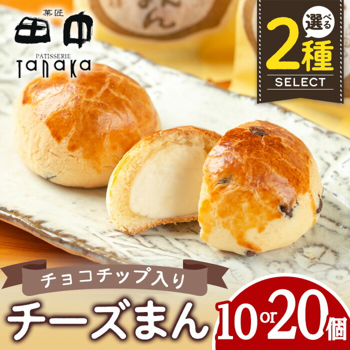 【ふるさと納税】＜個数を選べる！＞チーズまん(10個or20個) お菓子 菓子 チーズ 洋菓子 和菓子 まんじゅう お菓子 スイーツ 個包装 チョコチップ ビスケット生地 チーズクリーム 洋風饅頭 ギフト 贈り物 おやつ 【菓匠田中】