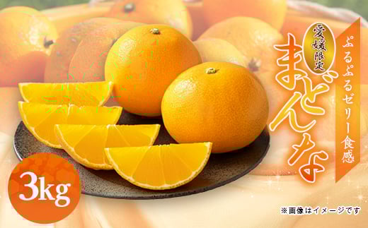 
            愛媛県八幡浜産　まどんな3kg＜E94-2＞【1682686】
          