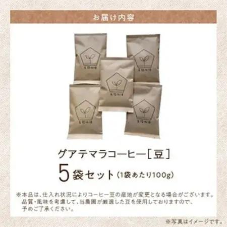 五稜農園自家焙煎 グアテマラコーヒー豆100g×5袋セット 香り豊かな本格珈琲【1747886】