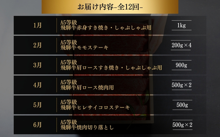 【定期便】飛騨牛三昧 定期便 12回 12ヶ月 1年 食べ比べ A5等級 5等級 a5 牛肉 肉 和牛 国産牛 黒毛和牛 焼肉 やきにく ヤキニク 赤身 霜降り お楽しみ トキノ屋食品 本巣市 定期便