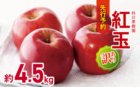 *【2025年先行予約】訳あり 紅玉 約4.5kg ｜ 外川果樹園 リンゴ りんご 林檎 果物 フルーツ 果実 果汁 紅玉 こうぎょく わけあり 訳アリ 長野県 松川村