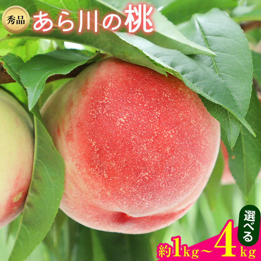 【ふるさと納税】和歌山県紀の川市産あら川の桃 選べる 約1kg～4kg 秀品 前商店《6月末-8月上旬頃出荷》 和歌山県 紀の川市 産地直送 もも モモ 果物 フルーツ