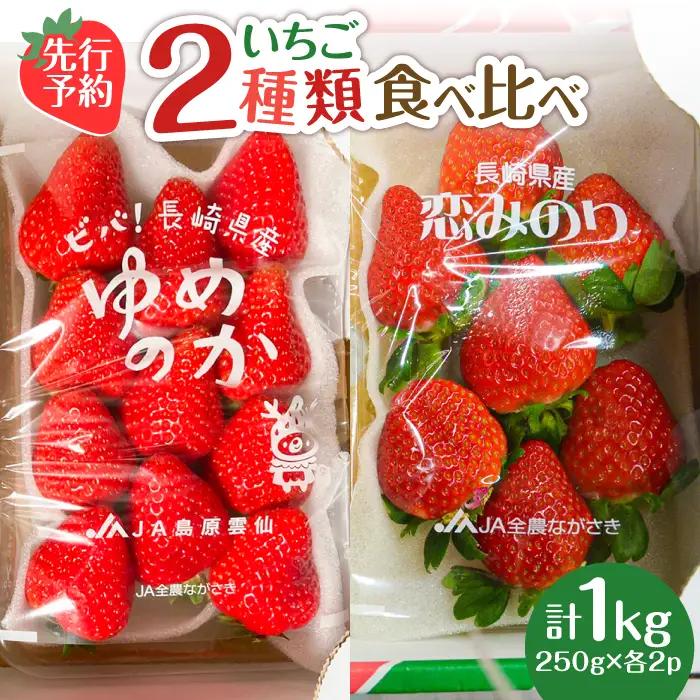 【2027年1月-発送】いちご2種類 食べ比べ 約250g×4P [SAC006] いちご