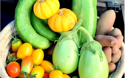 「おいしくて安全だからこそ毎日食べ続けられる野菜」をつくりたい、そんな想い