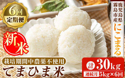 K-198-F 【6回定期便】＜令和7年産新米 先行予約受付中！2025年12月以降順次発送予定＞てまひま米(品種:にこまる)(計30kg：5kg×6回)【末蜜農園】霧島市 お米 精米 白米 米 こめ コメ ご飯 ごはん 定期便 栽培期間中農薬不使用