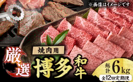 【12回定期便】博多和牛 焼肉用 500g 肉 国産和牛 BBQ カルビ ロース モモ 広川町 / 株式会社MEAT PLUS [AFBO072]