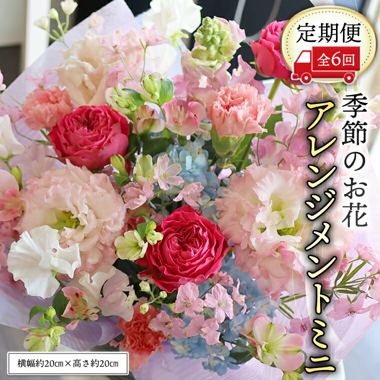 【ふるさと納税】≪定期便≫季節のお花アレンジメントミニ＊6回 アレンジメント 生花