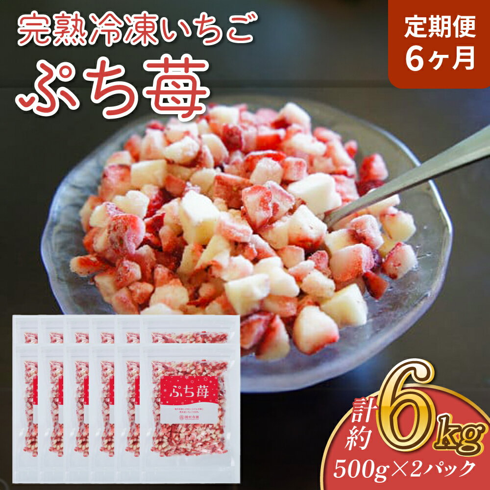 【ふるさと納税】【定期便6ヶ月】完熟 冷凍 いちご ぷち苺 500g×2パック 園村苺園 定期便 1回あたり 合計1kg 6回定期便 合計6kg 6ヶ月 連続 イチゴ 苺 さちのか フルーツ 果物 デザート パック 急速冷凍 贈答品 贈り物 のし対応 国産 九州産 熊本県産 宇城市産 送料無料