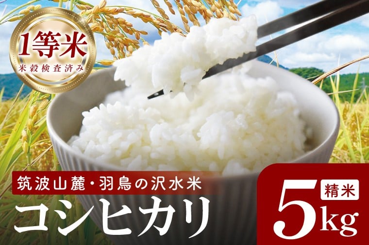 
            筑波山麓・羽鳥の沢水米 コシヒカリ 精米 5kg【茨城県共通返礼品：桜川市】|お米 米 こしひかり 茨城県 取手市（CA001）
          