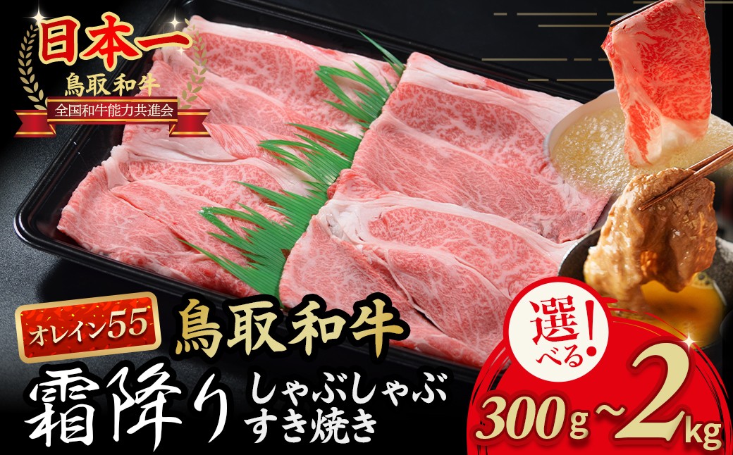 
            鳥取和牛 【オレイン55】霜降りしゃぶしゃぶすき焼き 300g～2kg 鳥取和牛 オレイン55 ロース しゃぶしゃぶ すき焼き 国産 牛肉 ブランド牛 和牛 黒毛和牛
          