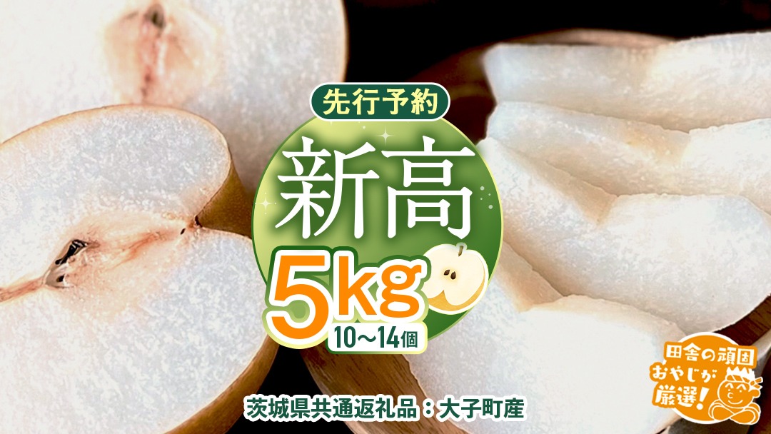 梨 新高 5kg（10〜14個）【2025年10月より発送開始】（茨城県共通返礼品 [梨]：大子町産）田舎の頑固おやじが厳選！ なし 新高梨 和梨 フルーツ 果物 くだもの 高糖度 ギフト 茨城 [BI306-NT]