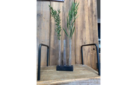 COBA ⑲一輪挿し　Φ18　3連