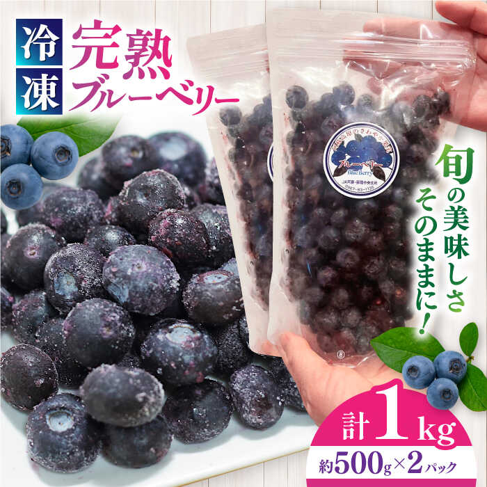 【ふるさと納税】旬の美味しさそのまま！冷凍 完熟ブルーベリー 計1kg (約500g×2パック) ブルーベリー 冷凍フルーツ 果物 くだもの フルーツ フローズンブルーベリー 完熟 小分け スムージー 【マルク ザ・ガーデン】[YDI001]
