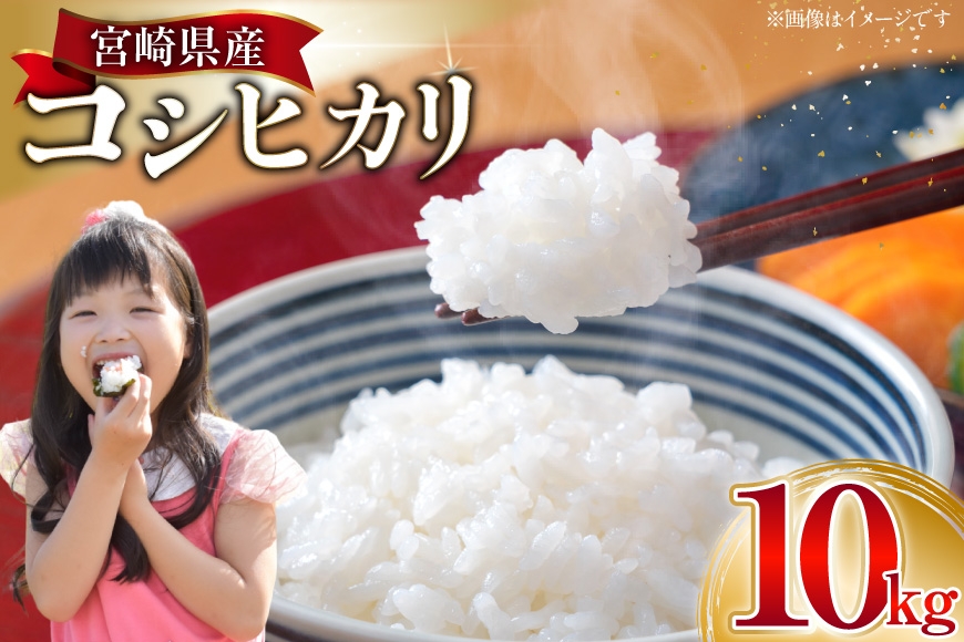 
                  米 訳あり 令和8年 宮崎県産 コシヒカリ 白米 10kg [たくちゃんの野菜農園 宮崎県 日向市 452061464] 令和8年産 精米 こめ コメ お米 ご飯 10キロ
                
