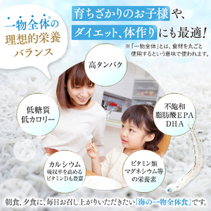 【 しらす 】 釜揚げしらす定期便 5ヶ月