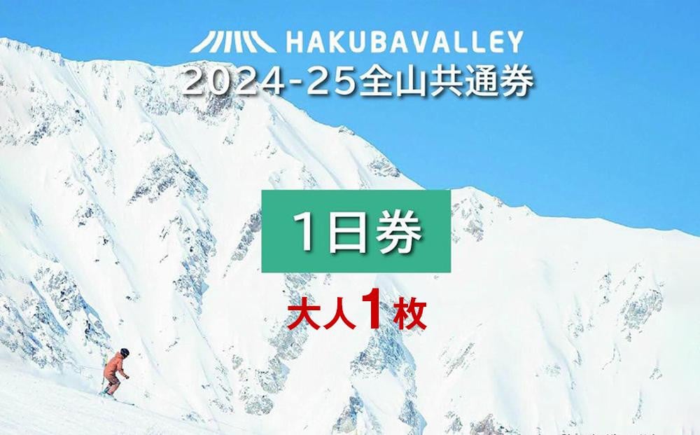 
            2024-2025 Hakuba Valley 全山共通1日券 大人1枚
          