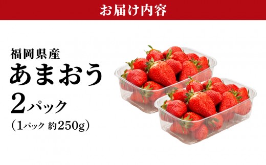 福岡県産あまおう2パック（約250g×2パック）| あまおう いちご 苺 イチゴ 福岡県産 福岡 国産 大粒 ブランドいちご フルーツ 果物 くだもの 甘い ジューシー 旬 冬