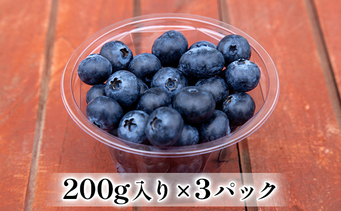 【2024年4月上旬以降順次発送】生ブルーベリー 200g×3パック