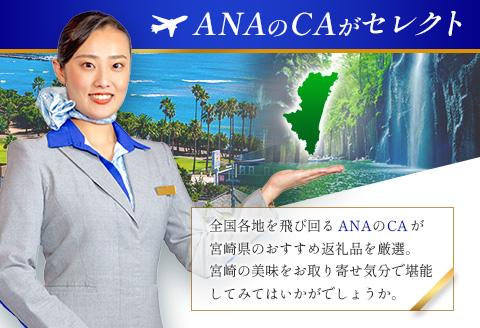 【ANA限定】ANA CAセレクト 宮崎県 ステイマストバイ 冷凍うまいものセット