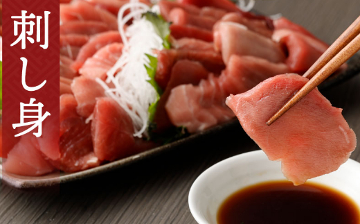 【 6回定期便 】 高豊丸 天然本マグロ 赤身 中とろ 切り落とし 400g (100g×4パック) | マグロ 刺身 刺し身 魚 惣菜 海鮮丼 魚介類 食べきりサイズ 小分け 冷凍 訳あり 不揃い 