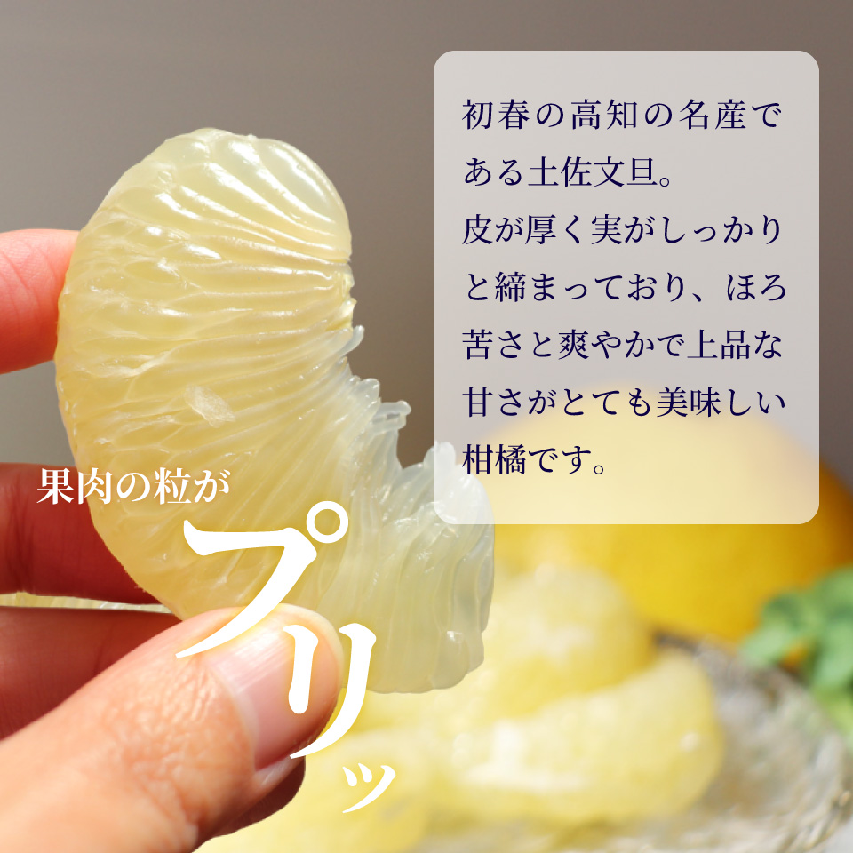 ＜2027年2月～3月ごろ発送予定＞土佐文旦 【5kg】 サイズ混合 果実 果物 柑橘 フルーツ