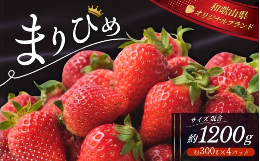 ＼先行予約／ いちご まりひめ 【ご家庭用】 約300g×4パック M～3Lサイズ （サイズ指定不可） 2025年12月頃から順次発送 / いちご まりひめ 和歌山ブランド イチゴ 和歌山 果物 フルーツ 野菜 苺 冷蔵 冬 家庭用 12月配送 1月配送 2月配送 【tcs003】