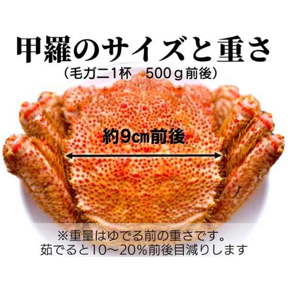 【令和8年発送】三陸産 三陸活毛ガニ 500g×3杯【2026年3月～4月発送】【05】