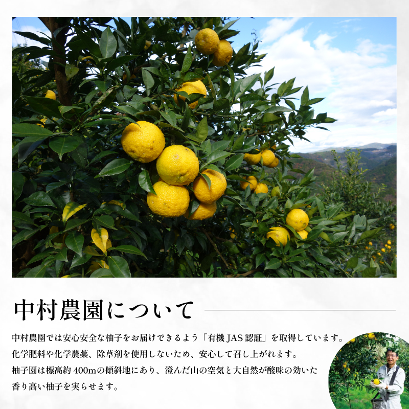 ゆずゼリー 有機ゆず100% 130g×10個