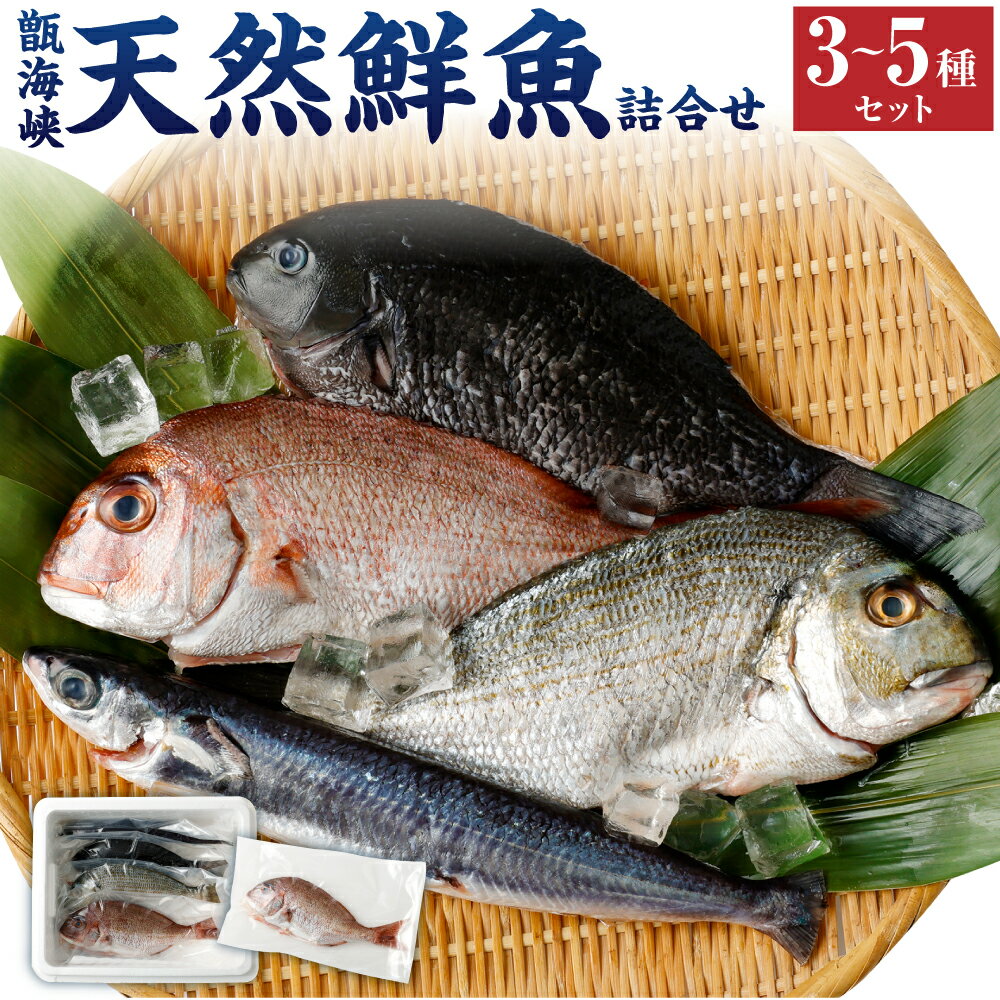 【ふるさと納税】【配送指定日必須】 甑海峡 天然 鮮魚 詰め合わせ セット 3～5種 魚 旬 真空パック 内臓処理済み・鱗剥ぎ済み 冷蔵 鹿児島県 薩摩川内市 送料無料