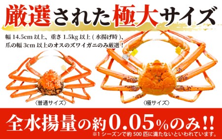 越前がに本場の越前町からお届け！越前がに極 浜茹で×1杯（生で1.5kg以上）【かに カニ 蟹】【3月発送分】 [e14-x012_03] 食べ方しおり付 福井県 雄 ズワイガニ ボイル 冷蔵 越前が