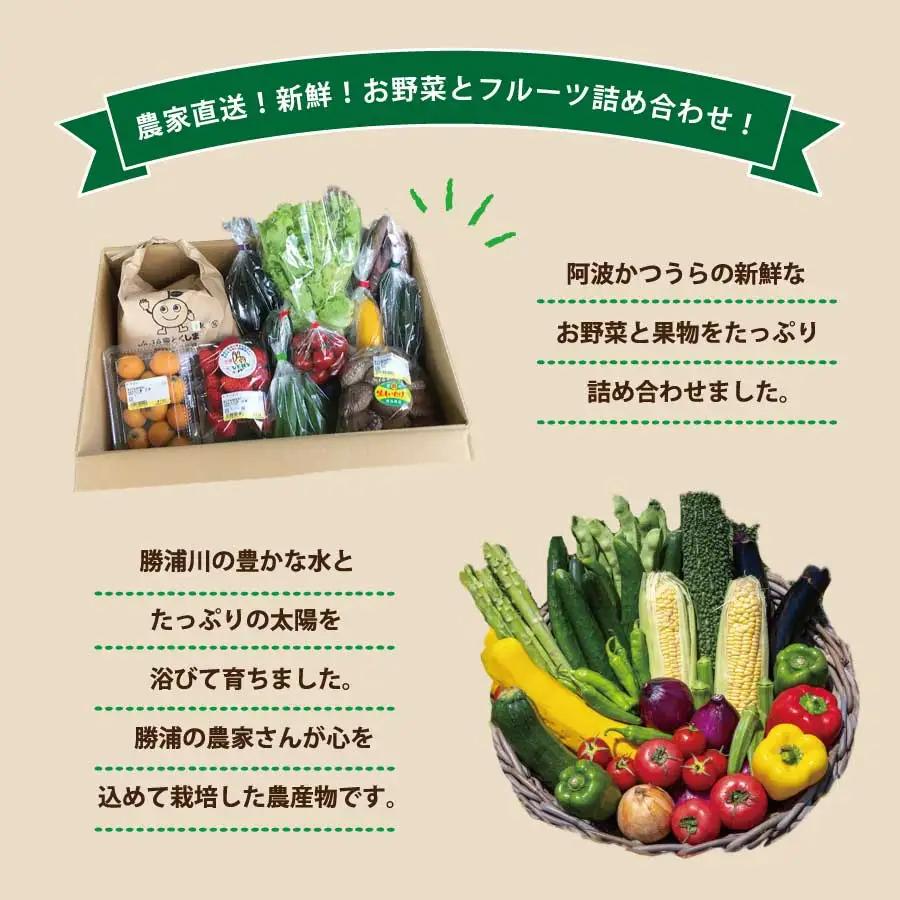 阿波かつうら農産物　満足セット