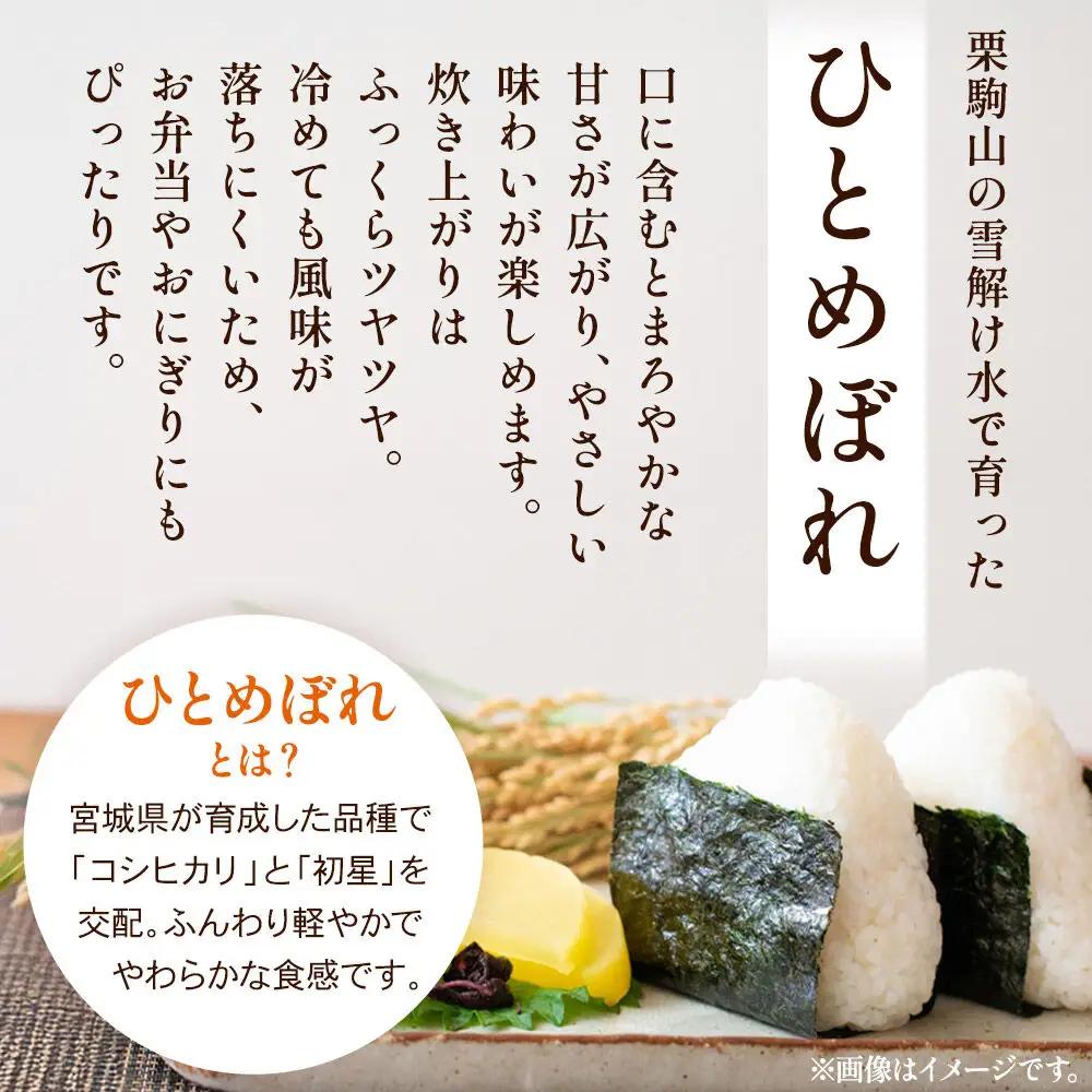 【白米】令和7年産 宮城県栗原市 厳選米 ひとめぼれ 5kg