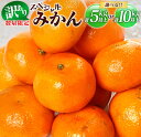 【ふるさと納税】訳あり 数量限定 スペシャルみかん 5kg 10kg 期間限定 フルーツ 果物 柑橘 ミカン オレンジ 人気 おすすめ おすそ分け お土産 ご家庭用 訳アリ お取り寄せ グルメ 国産 食品 デザート スイーツ おやつ ブランド 希少 特産品 産地直送 宮崎県 日南市 送料無料