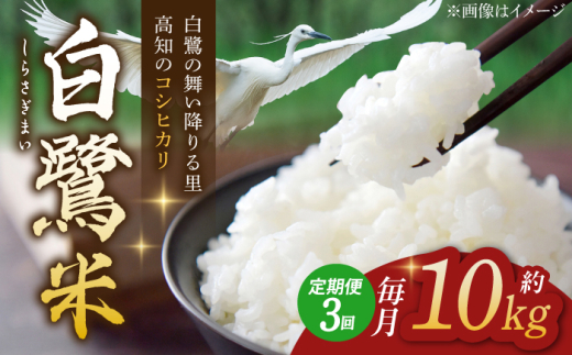 【3回定期便】 R7年度産 特別栽培米 農薬節減！ 白鷺米 コシヒカリ 各約10kg 合計約30kg / 高知 米 お米 精米 　【津ノ宮農園】[ATBV014]
